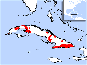 Range Map for Blue-headed Quail-dove