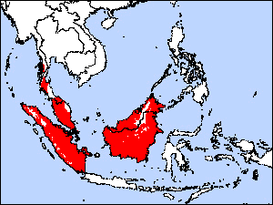 Range Map for Large Green-pigeon
