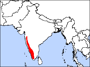 Range Map for Nilgiri Wood-pigeon