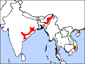 Range Map for Pale-capped Pigeon