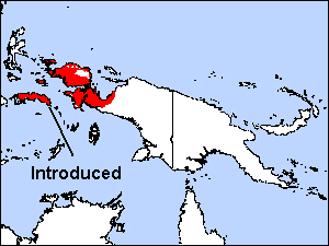 Range Map for Western Crowned-pigeon