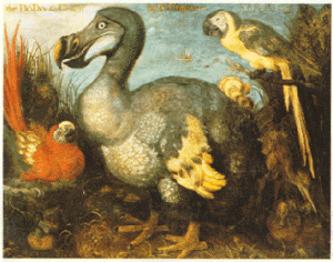 Dodo & Given - Natural History Museum